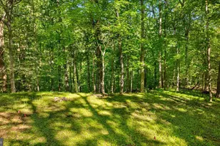 7818 Georgetown Pike, McLean, VA 22102 - Photo 12