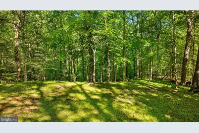 7818 Georgetown Pike, McLean, VA 22102 - Photo 12