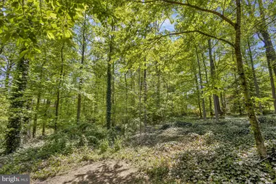 8625 Appleton Court, Annandale, VA 22003 - Photo 42