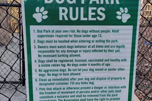 5904 Mt Eagle Dr, Alexandria, VA 22303 - Photo 26