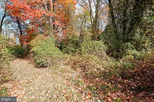 7640 Tremayne, McLean, VA 22102 - Photo 24