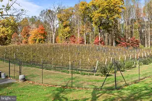 13025 Yates Ford Rd, Clifton, VA 20124 - Photo 72