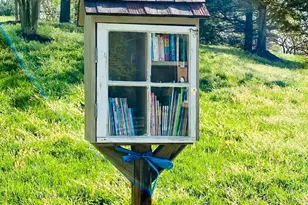 10223 Cedar Pond Dr, Vienna, VA 22182 - Photo 52