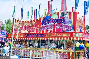 10223 Cedar Pond Dr, Vienna, VA 22182 - Photo 58