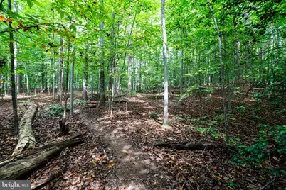 11901 Chapel Road, Clifton, VA 20124 - Photo 84