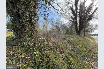 6418 Columbia Pike, Annandale, VA 22003 - Photo 4