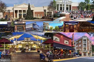 4509 Rhett Ln, Fairfax, VA 22030 - Photo 48