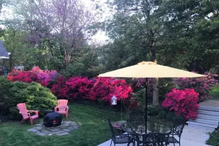 6429 Divine St, McLean, VA 22101 - Photo 6