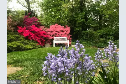 6429 Divine Street, McLean, VA 22101 - Photo 4