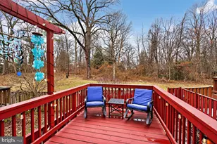 5528 Jowett Ct, Alexandria, VA 22315 - Photo 14