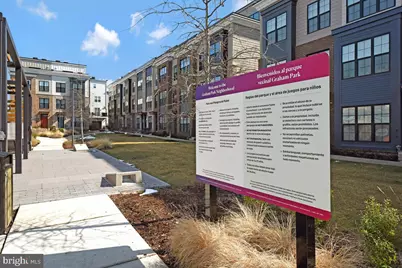 7367 Blade Drive, Falls Church, VA 22042 - Photo 40