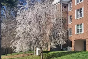 7600 Tremayne Pl, McLean, VA 22102 - Photo 28