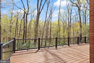 11115 Streamview Ct, Great Falls, VA 22066 - Photo 44