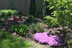 1133 Anesbury Ln, Alexandria, VA 22308 - Photo 42