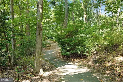 1538 Twisted Oak Drive, Reston, VA 20194 - Photo 22