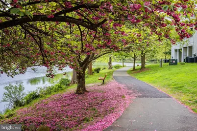 2910 Bridgehampton Court, Falls Church, VA 22042 - Photo 50