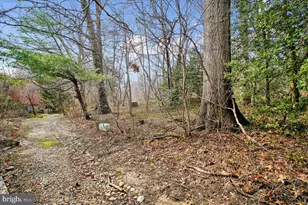 11514 Sunder Ct, Reston, VA 20190 - Photo 56