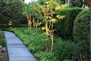 6108 Vernon Terrace, Alexandria, VA 22307 - Photo 82