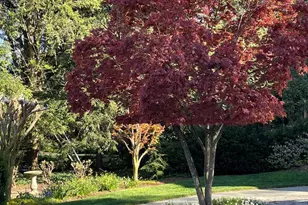 6108 Vernon Terrace, Alexandria, VA 22307 - Photo 86