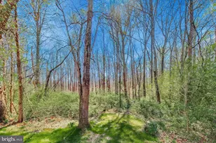 6008 Mill Cove Ct, Burke, VA 22015 - Photo 50