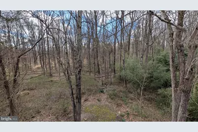 6008 Mill Cove Court, Burke, VA 22015 - Photo 18