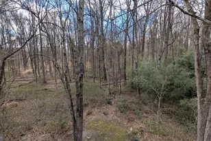 6008 Mill Cove Ct, Burke, VA 22015 - Photo 18