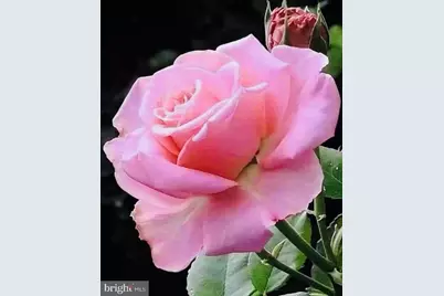 6211 Guilford Drive, Alexandria, VA 22310 - Photo 20