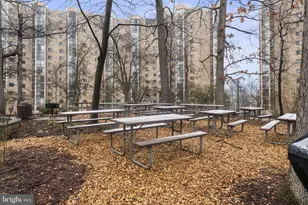 5903 Mt Eagle Dr, Alexandria, VA 22303 - Photo 40