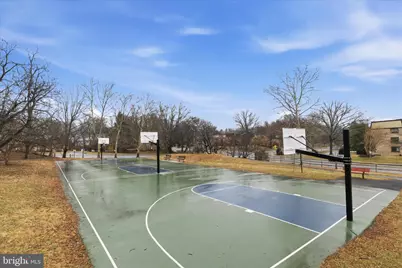 10220 Bushman Drive #8203, Oakton, VA 22124 - Photo 40