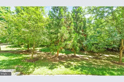 4427 Beechstone Lane, Fairfax, VA 22033 - Photo 50