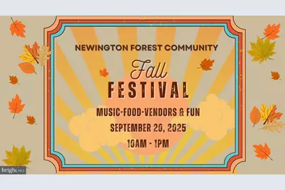 8461 Rushing Creek Court, Springfield, VA 22153 - Photo 92