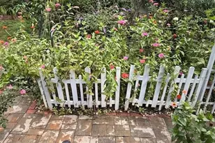 8461 Rushing Creek Ct, Springfield, VA 22153 - Photo 74