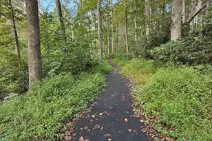 8461 Rushing Creek Ct, Springfield, VA 22153 - Photo 86