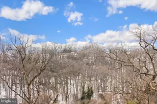 5904 Mt Eagle Dr, Alexandria, VA 22303 - Photo 6