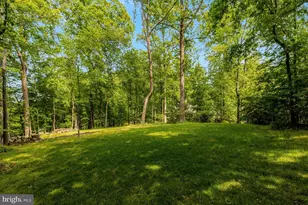 11698 Fox Glen Dr, Oakton, VA 22124 - Photo 70
