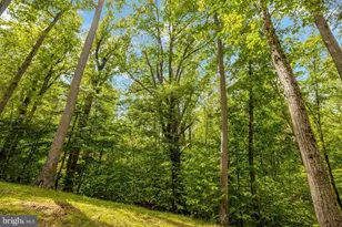 105 Interpromontory Rd, Great Falls, VA 22066 - Photo 72