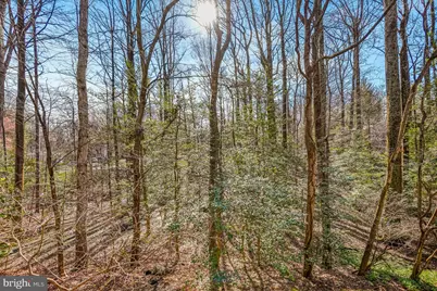 2315 Glade Bank Way, Reston, VA 20191 - Photo 18