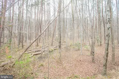 6606 Netties Lane #1310, Alexandria, VA 22315 - Photo 28