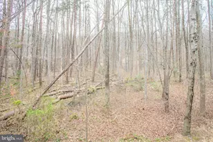 6606 Netties Ln, Alexandria, VA 22315 - Photo 28