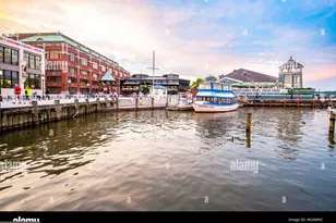 5530 Halwis St, Alexandria, VA 22303 - Photo 24