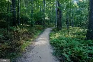 1405 Northgate Square, Reston, VA 20190 - Photo 22