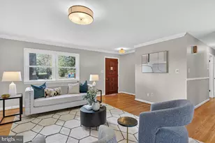 3229 Magnolia Ave, Falls Church, VA 22041 - Photo 4