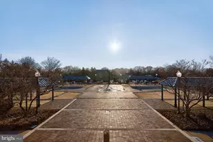 5501 Seminary Rd, Falls Church, VA 22041 - Photo 34