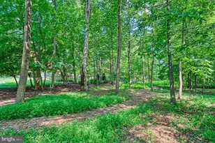 10914 Shallow Creek Dr, Great Falls, VA 22066 - Photo 74