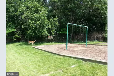 2624 Redcoat Drive #159, Alexandria, VA 22303 - Photo 14