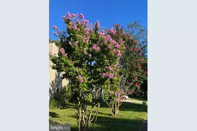 12701 Pinecrest Road, Herndon, VA 20171 - Photo 44