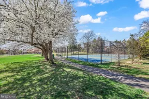 3101 S Manchester St, Falls Church, VA 22044 - Photo 18