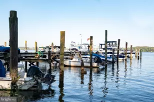 6619 E Wakefield Dr, Alexandria, VA 22307 - Photo 50