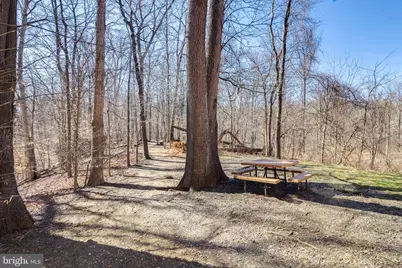 3756A Madison, Falls Church, VA 22041 - Photo 6