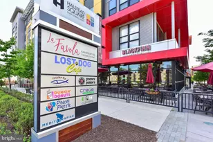 7756 New Providence Dr, Falls Church, VA 22042 - Photo 46